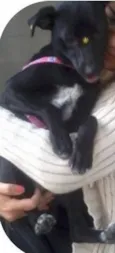 Lola