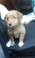 Duda(loirinha) Lola