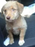 Duda(loirinha) Lola
