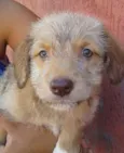Duda(loirinha) Lola