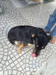 JUANITA, Princesa r