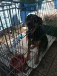 JUANITA, Princesa r