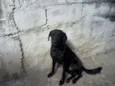 Diego