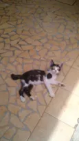 Docinho & Mel