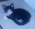 Linda