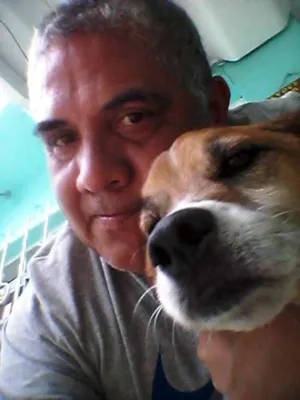 Cachorro raça vira lata idade 6 ou mais anos nome Ana Carolina