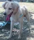 Marley