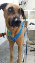 SCOOB