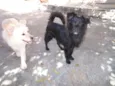 Kemmy e Tutinha