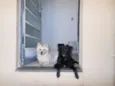Kemmy e Tutinha