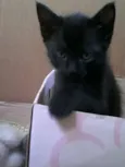 menina