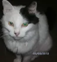 Mimi GRATIFICA