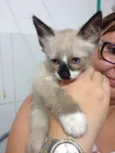 Bebezinhos