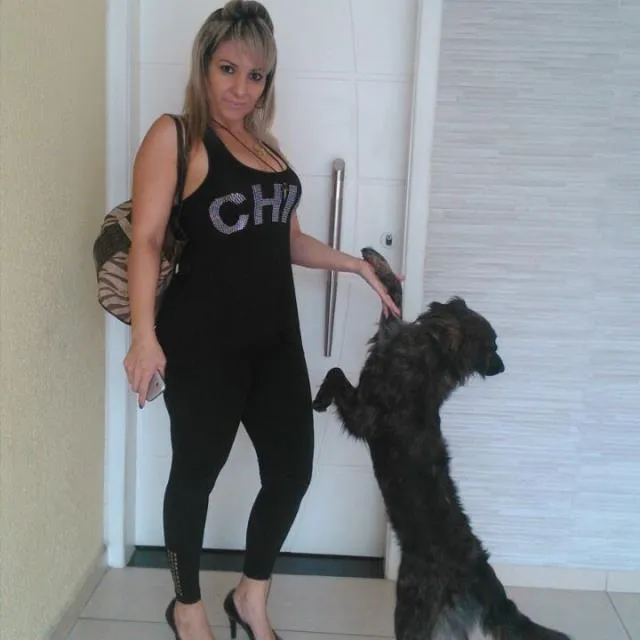 Cachorro ra a vira lata idade 1 ano nome paty