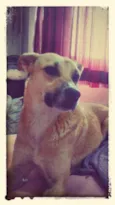 Jorge