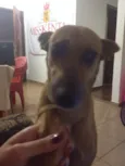 Devassa e Talinha