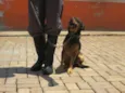 LIPINHO