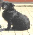 BILLY