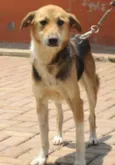 VICTOR