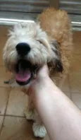 Não sabe