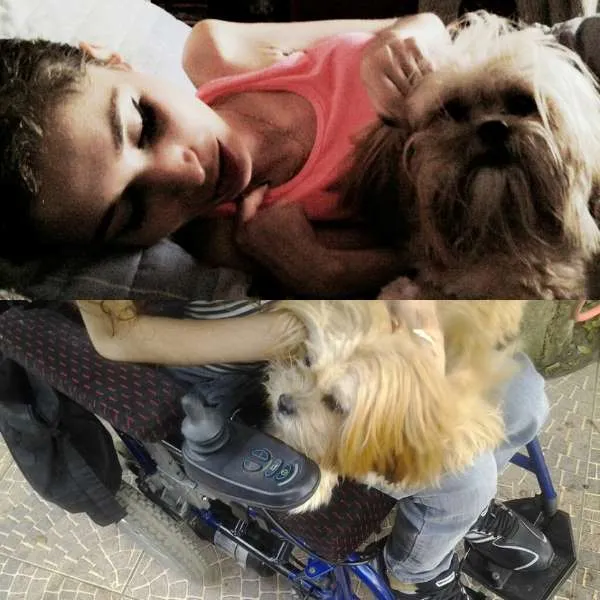 Cachorro ra a Lhasa Apso idade 7 a 11 meses nome Lilica GRATIFICA