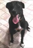 Lola