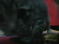 Não tem nome