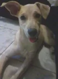 Anita