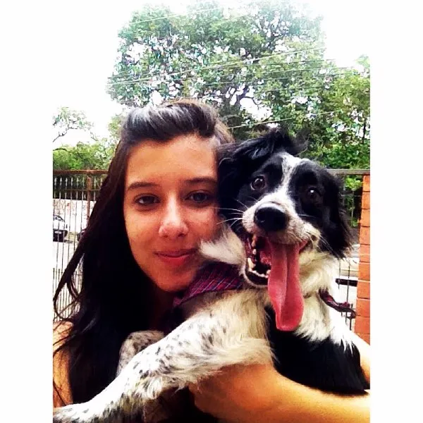 Cachorro ra a indefinida idade 3 anos nome bob