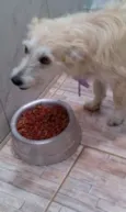 MILU