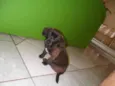 Anita