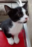 DIMITRI