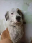 Billy