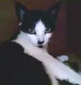 Frida
