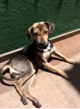 Mara