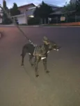 NÃO POSSUI