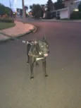 NÃO POSSUI