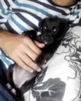 Black Frida