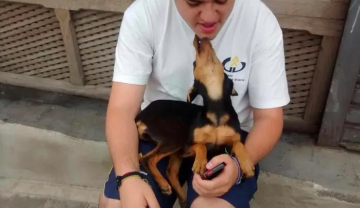 Cachorro ra a vira lata idade 1 ano nome Tata