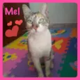 Mel