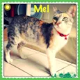 Mel