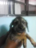 sem nome