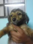 sem nome