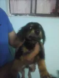 sem nome