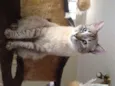 Tim
