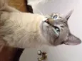 Tim