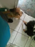 Ainda Indefinido