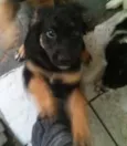 Ainda Indefinido