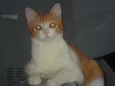 Nina