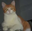 Nina
